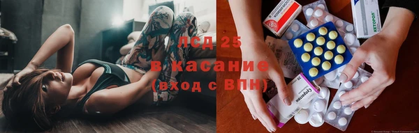 прущие крисы Аркадак