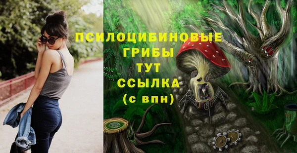 прущие крисы Аркадак