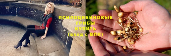 хмурый Пролетарск