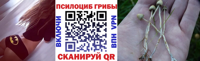 кракен ТОР  Сковородино  Галлюциногенные грибы Psilocybe 